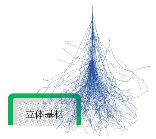 定制化EB立体表面加工示意图